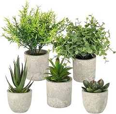 Los mejores accesorios para decorar tus fiestas tropicales en 2026