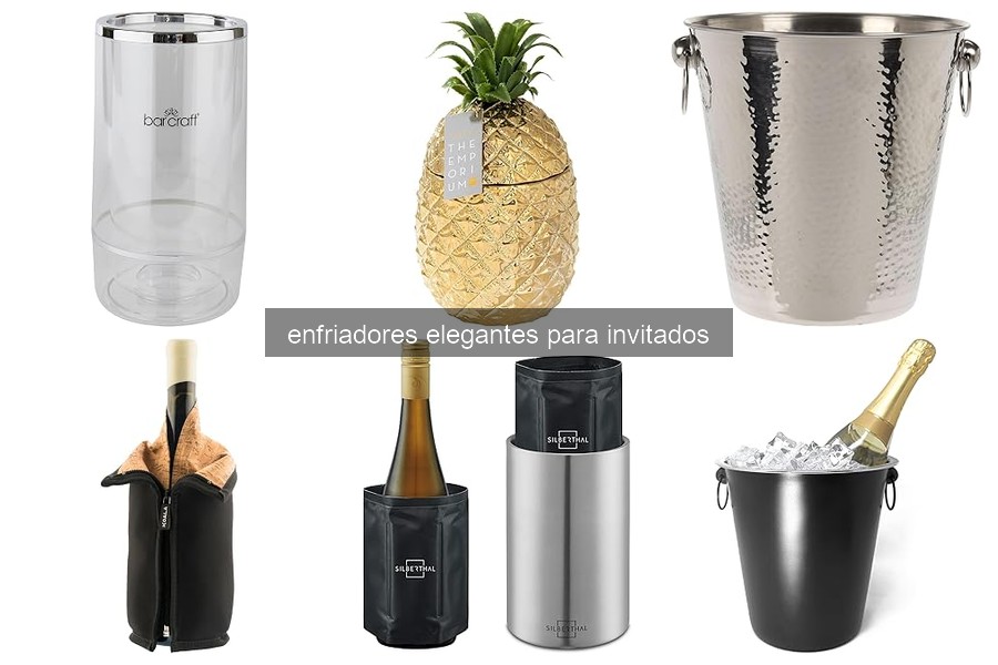 Mejores enfriadores elegantes para tus invitados en 2026